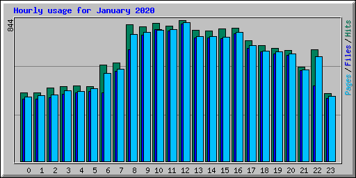 Hourly usage for January 2020