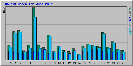 Hourly usage for June 2025