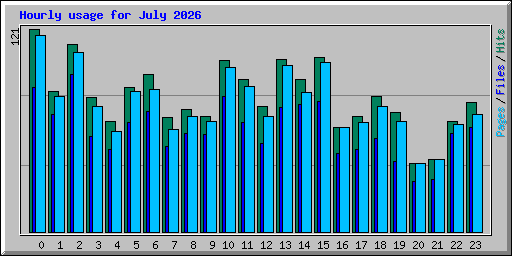 Hourly usage for July 2026